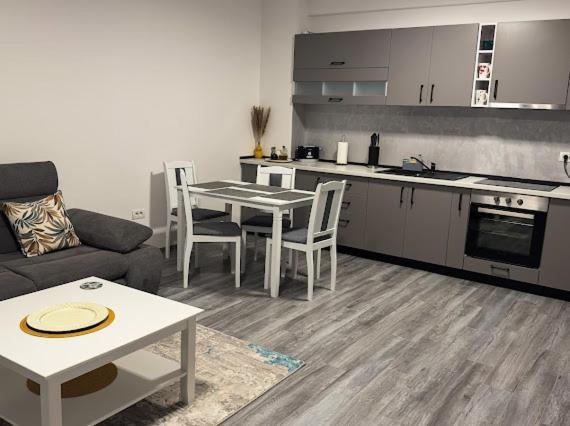 Apartament Ionut Băile Felix エクステリア 写真
